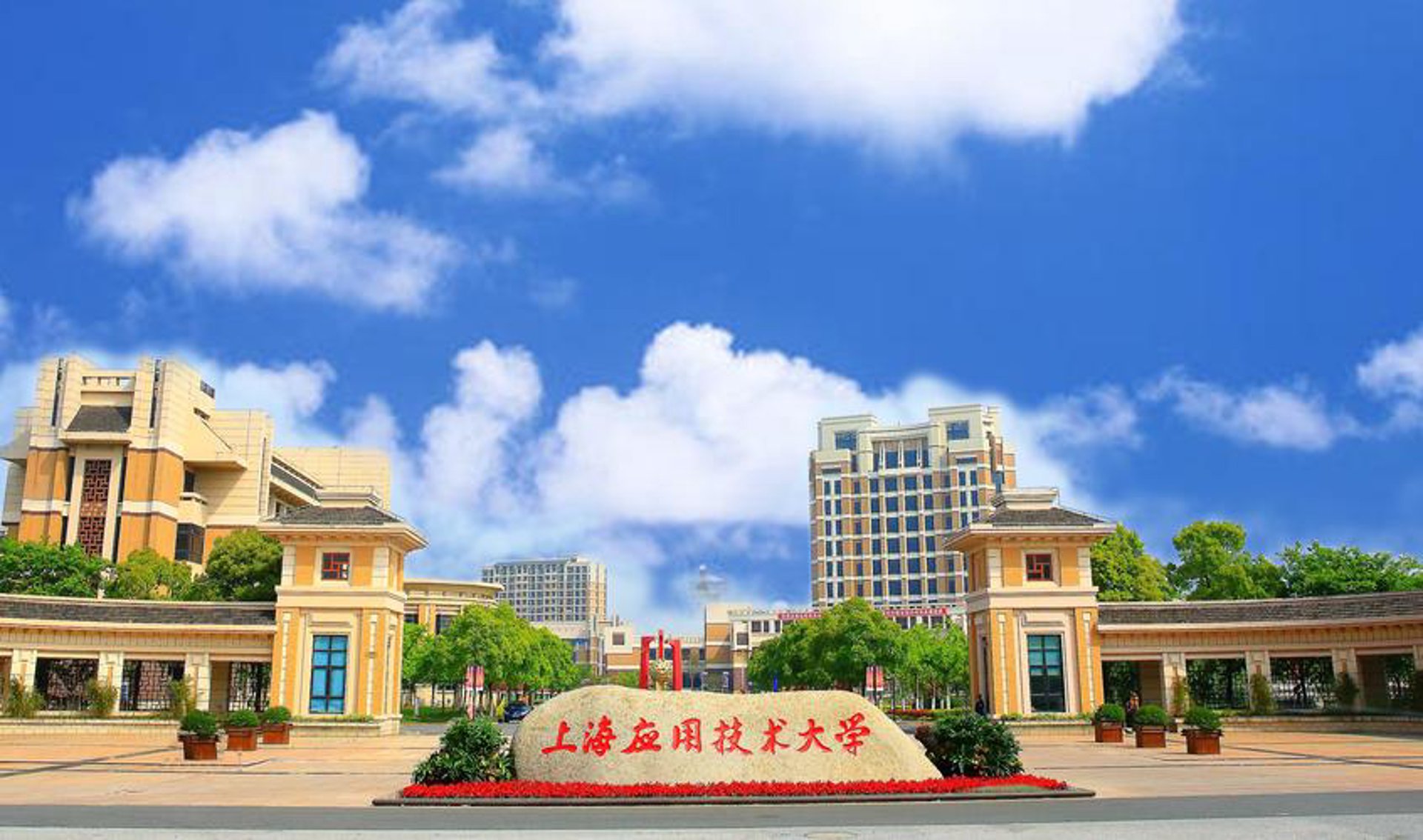兴鸿金网络科技